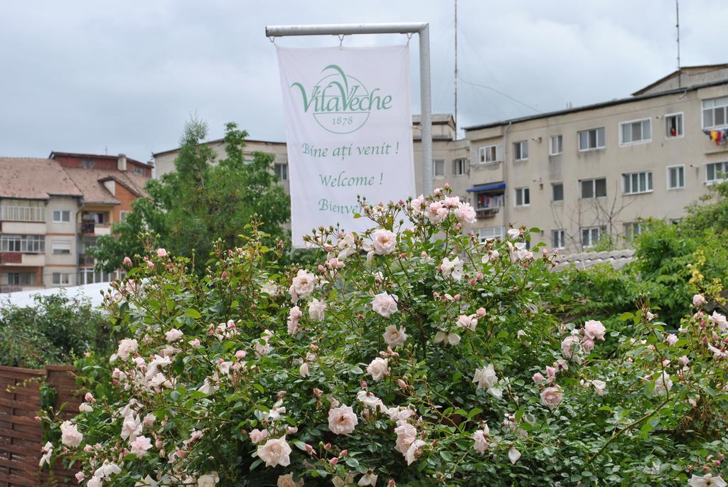 Vila Veche Haţeg Extérieur photo