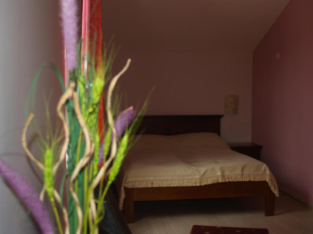 Vila Veche Haţeg Chambre photo