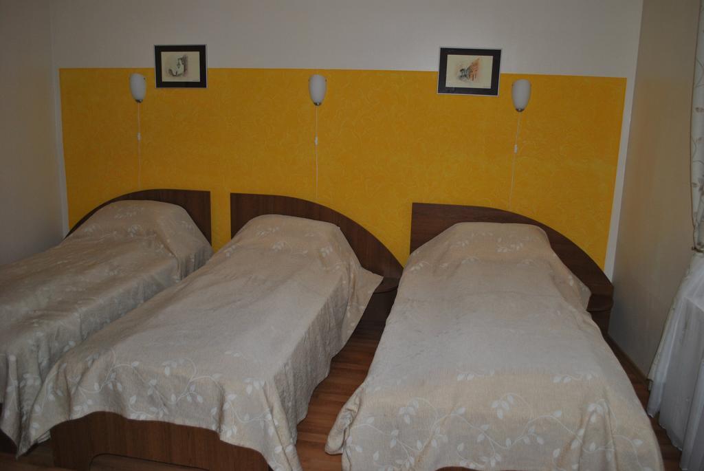 Vila Veche Haţeg Extérieur photo