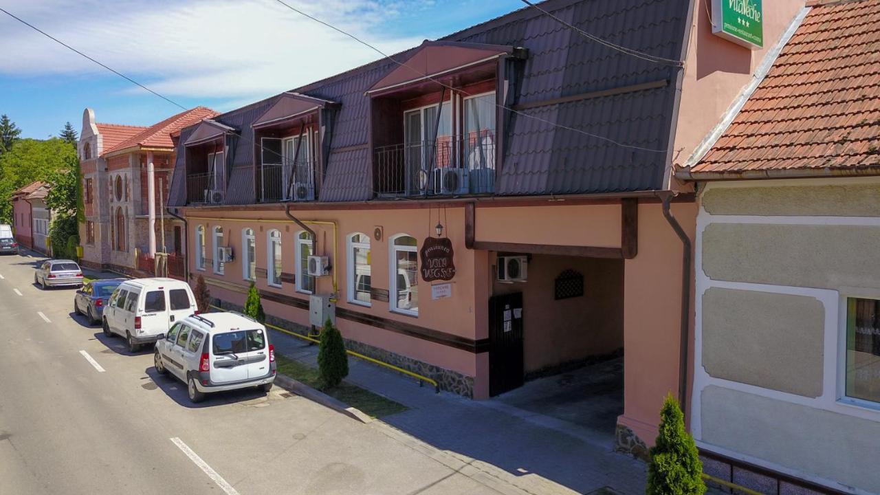 Vila Veche Haţeg Extérieur photo